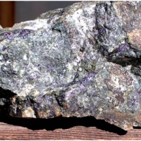 Bornite-magnetite mineralization with copper-gold values in calc-silicate at Hawk