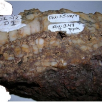 DL adit Quartz vein in black phyllite: sample to 1.5 oz/tonne gold